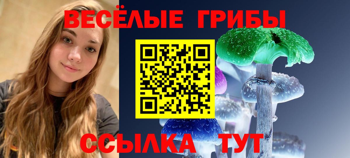 Псилоцибиновые грибы ЛСД Пушкино