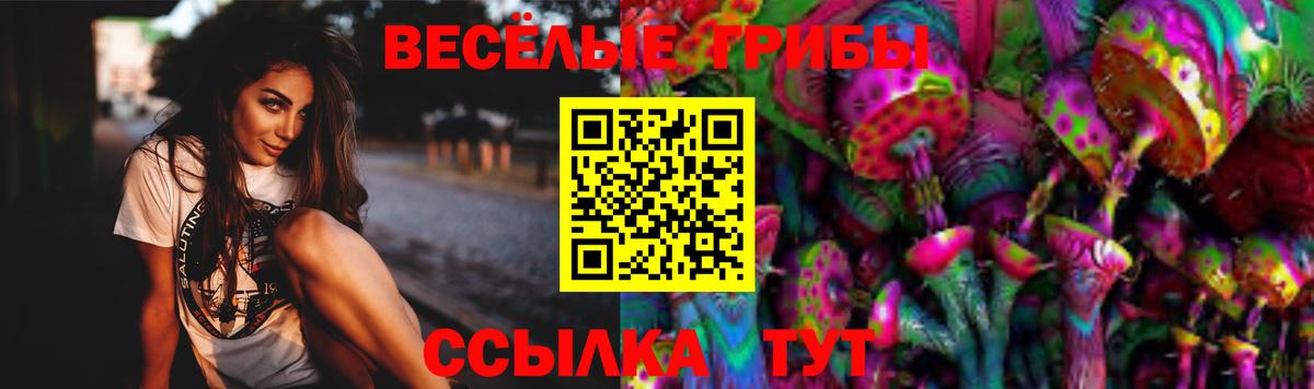 Пушкино  Псилоцибиновые грибы MAGIC MUSHROOMS  купить   Вход с VPN 